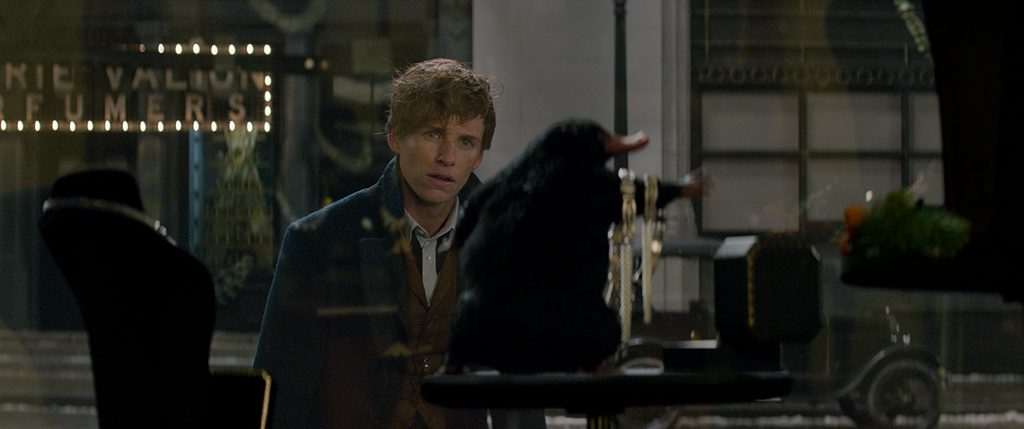 Newt (Redmayne) is wondering if what he's spotted is The Niffler or an exotic, furry jewelry holder.