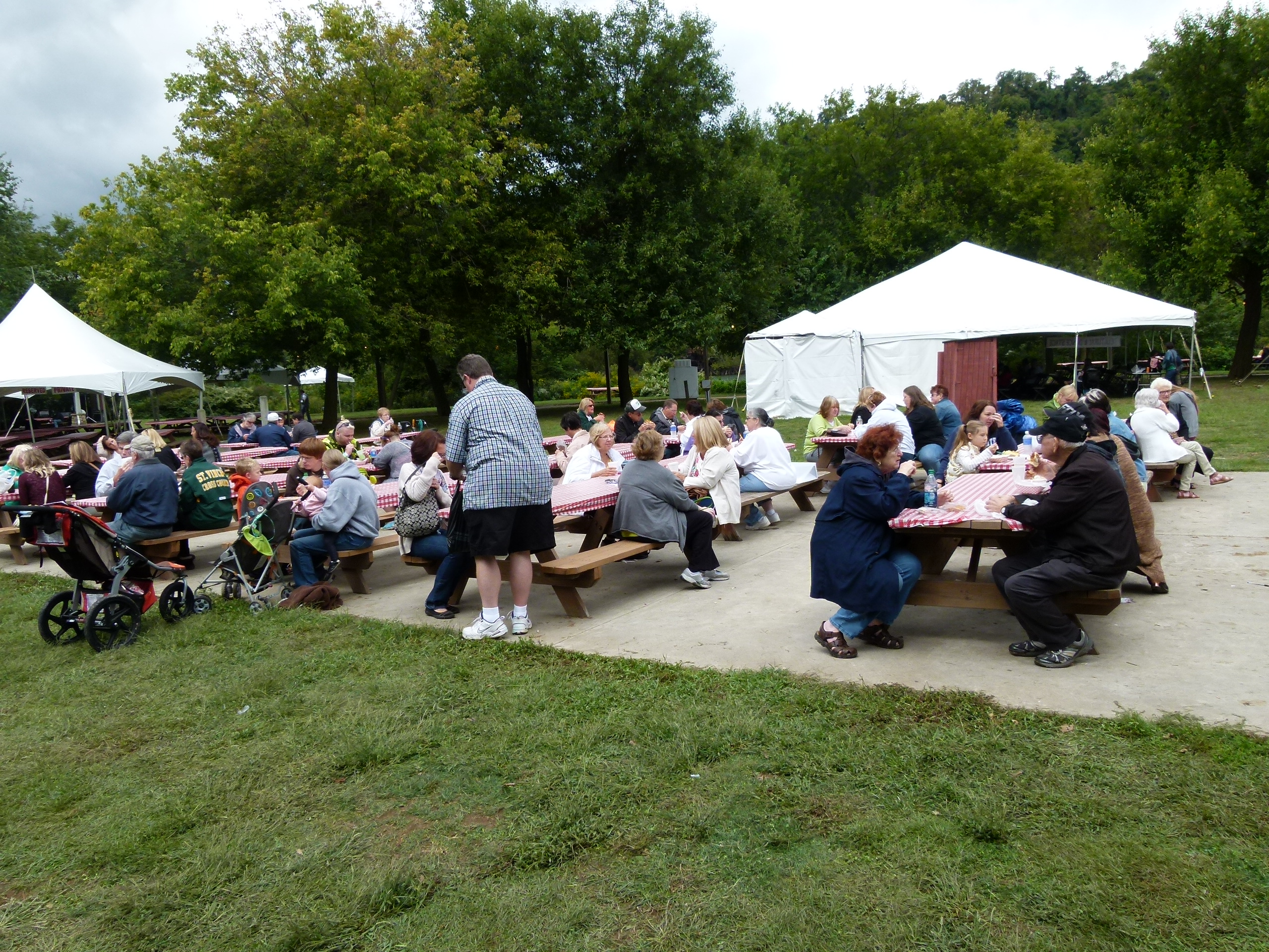 Friends and families relax and eat in the picnic area.