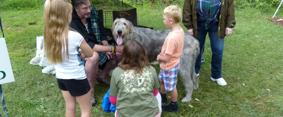 Irish wolfhounds owner Joel Black offers Murphy to the kids for petting.