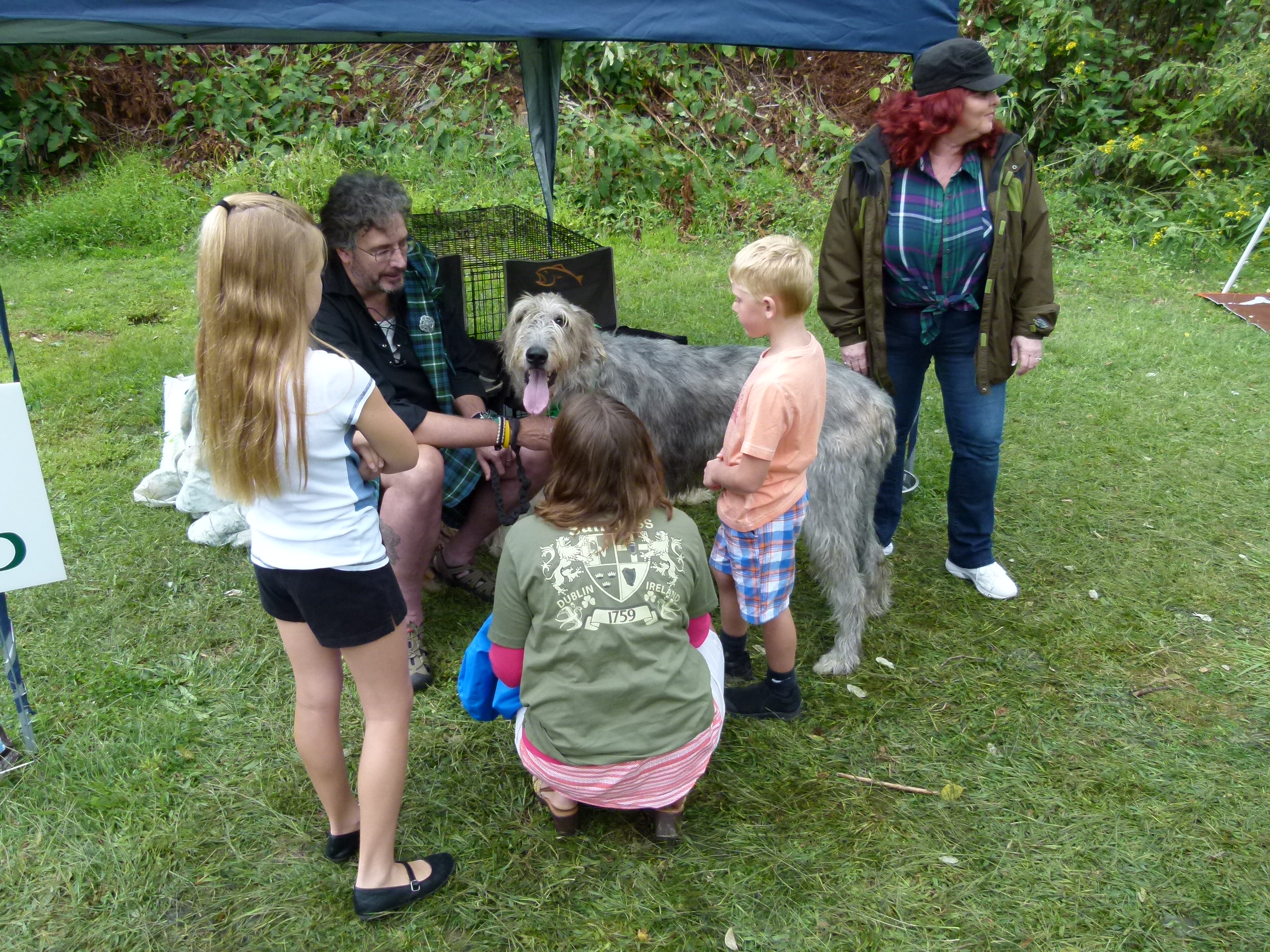 Irish wolfhounds owner Joel Black offers Murphy to the kids for petting.