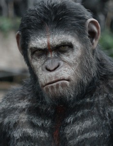 Caesar (Andy Serkis) is smarter than the average chimpanzee and he does not suffer fools gladly.  