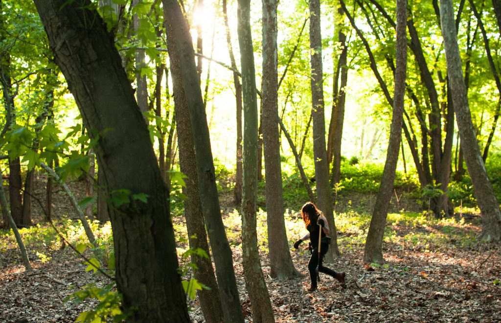 Sycamore Island is a 'Green Space' haven river-bound and close to town.