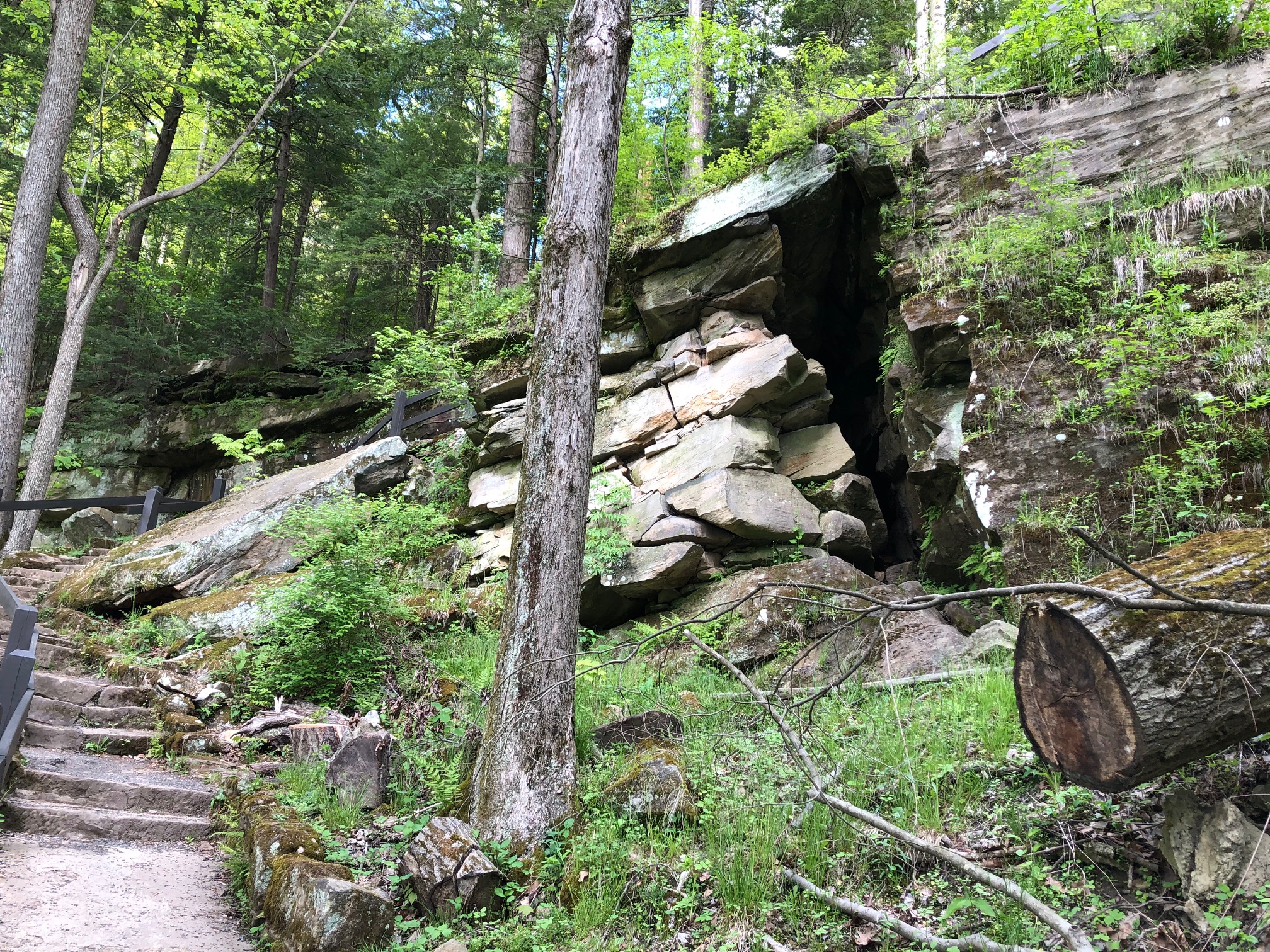 McConnells Mill StatePark is known for its beautiful scenery and rock formations. (photo: Christopher Maggio)