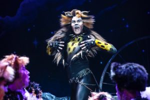 'Cats' comes to Pittsburgh in February. The touring production is among a cavalcade of musicals during the month. (photo: Matthew Murphy)|If you've had them