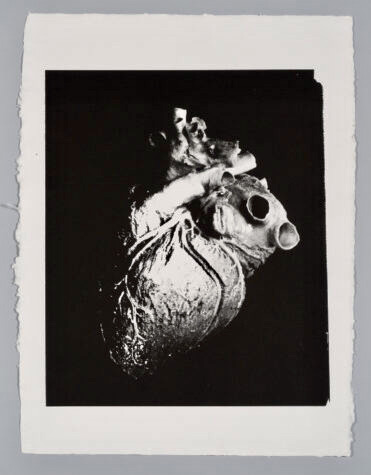 The screen print titled simply 'Heart' was made around 1979. Image © The Andy Warhol Foundation for the Visual Arts, Inc.
