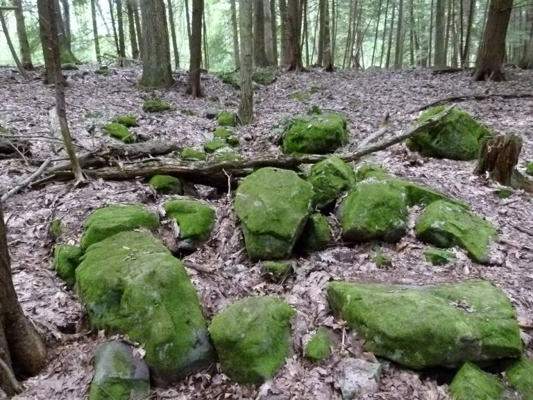 A grouping of moss-covered boulders.