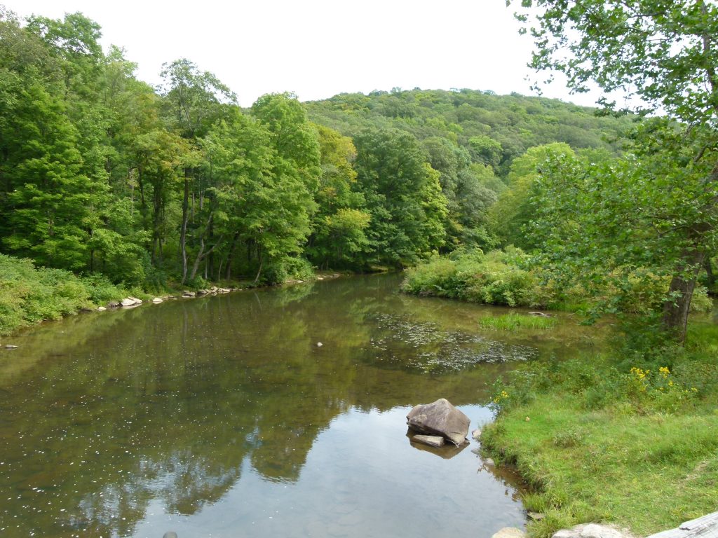 The downstream view of Laurel Hill Creek from the bridge.