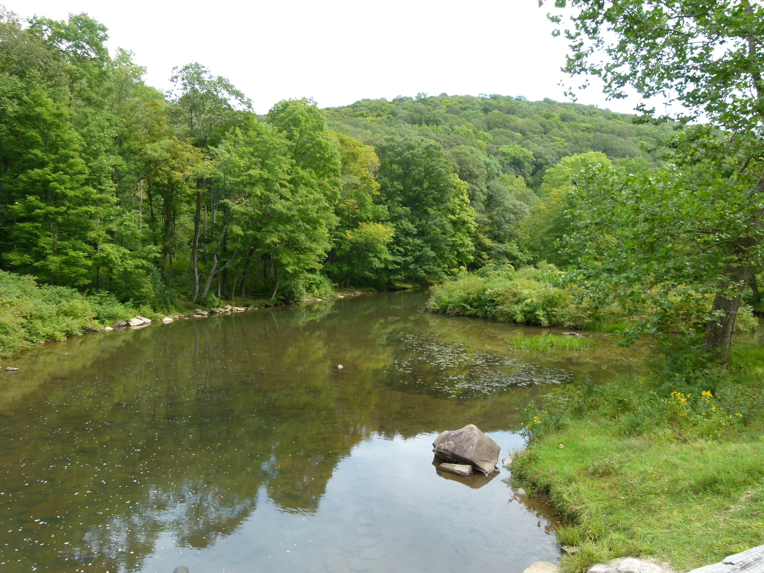 The downstream view of Laurel Hill Creek from the bridge.