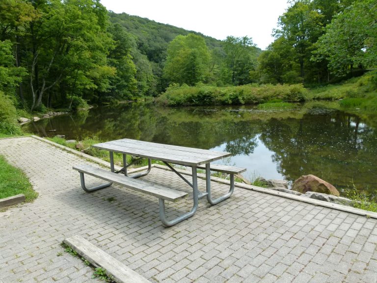 This beautiful spot even has a picnic table.